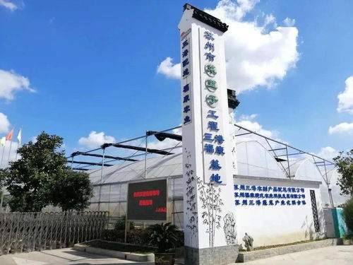 紓難解困，精準服務 賦能農(nóng)副產(chǎn)品企業(yè)高質(zhì)量發(fā)展