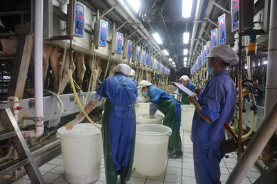 鐘山溫氏乳業(yè) 以生態(tài)養(yǎng)殖實現(xiàn)農(nóng)經(jīng)與環(huán)保的雙贏之道